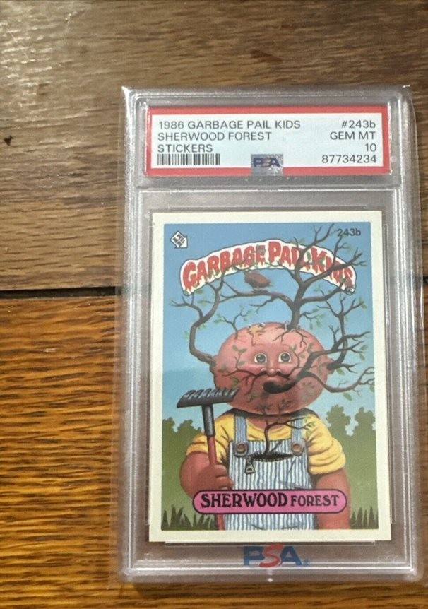 Sherwood Forest