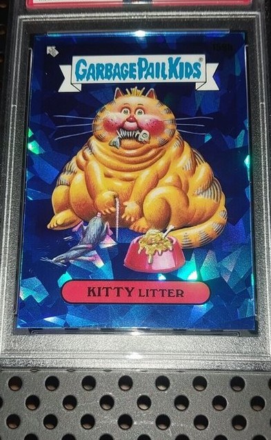 Kitty Litter
