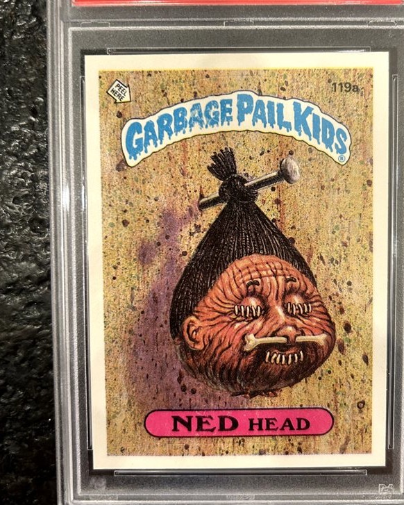 Ned Head