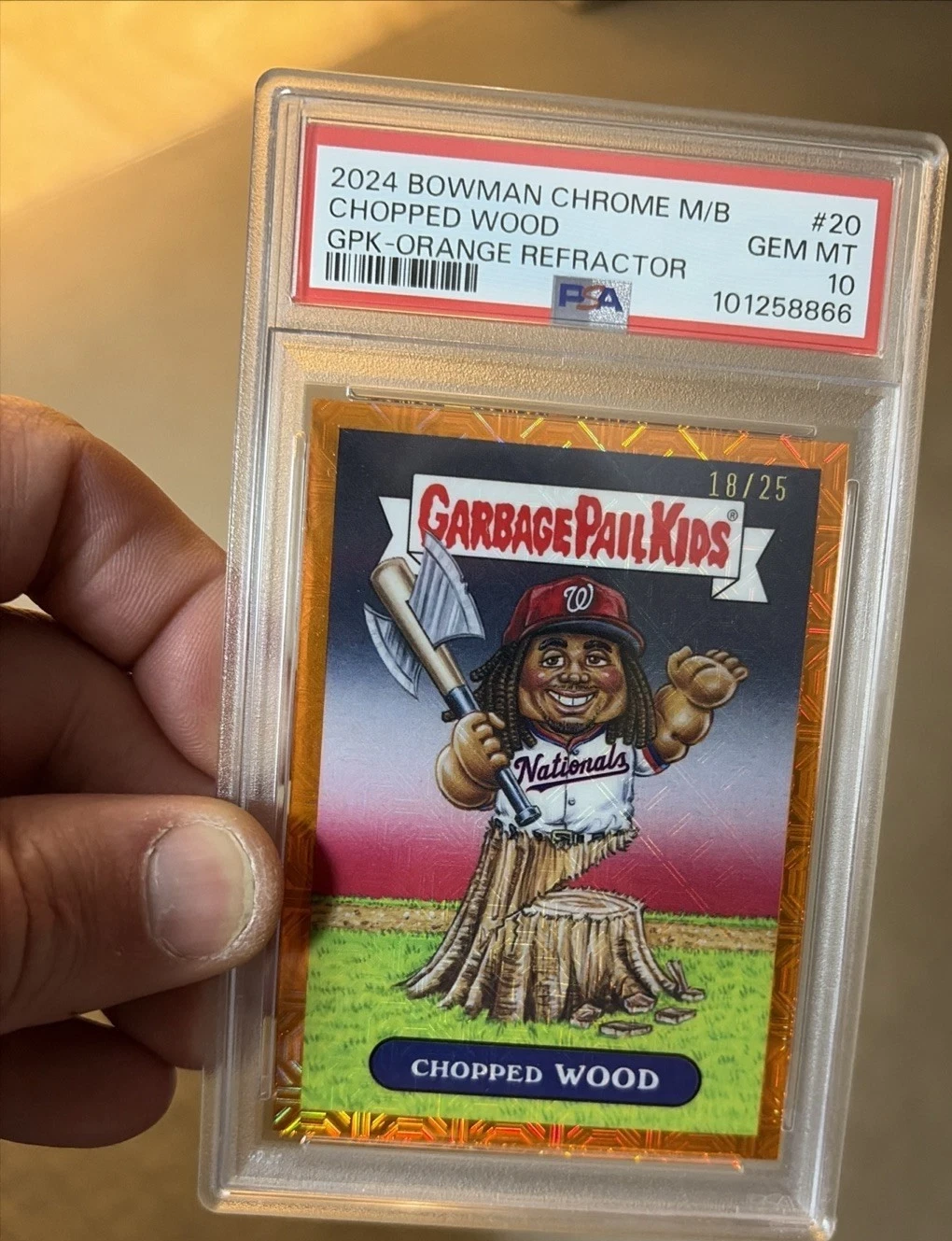 James Wood Chopped Wood