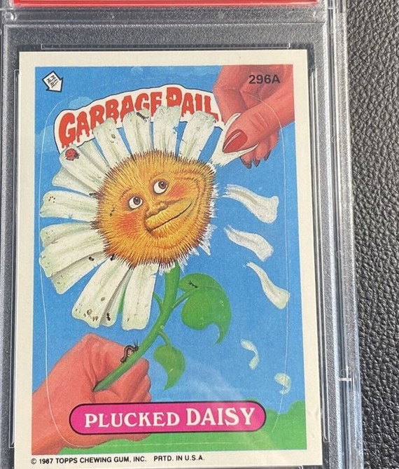 Plucked Daisy