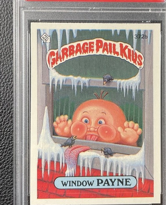 Window Payne