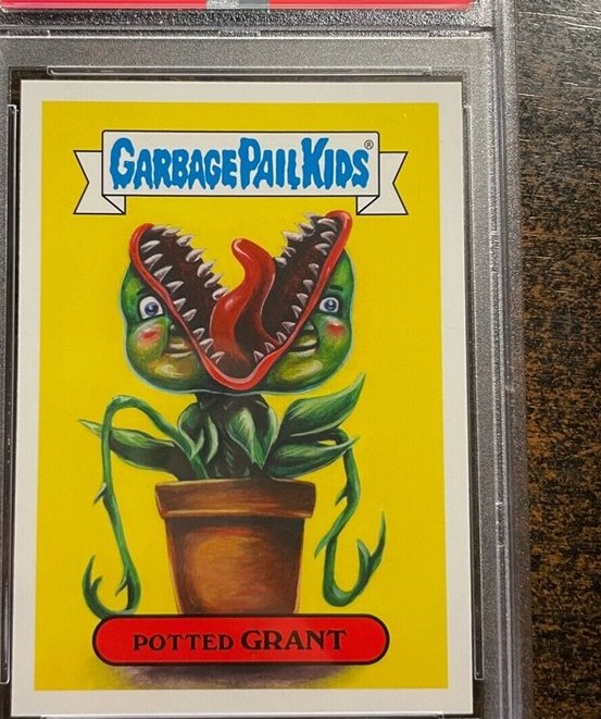 Potted Grant