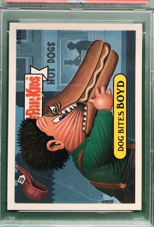 Dog Bites Boyd