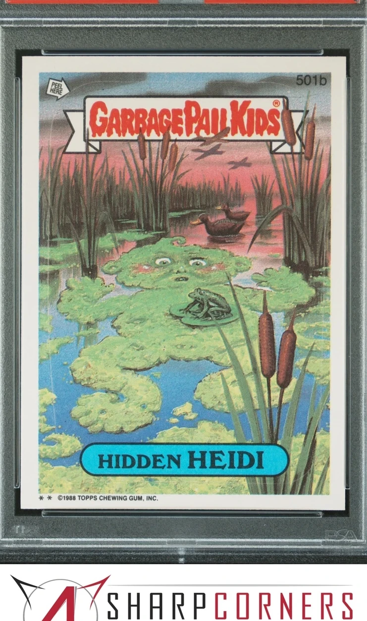 Hidden Heidi