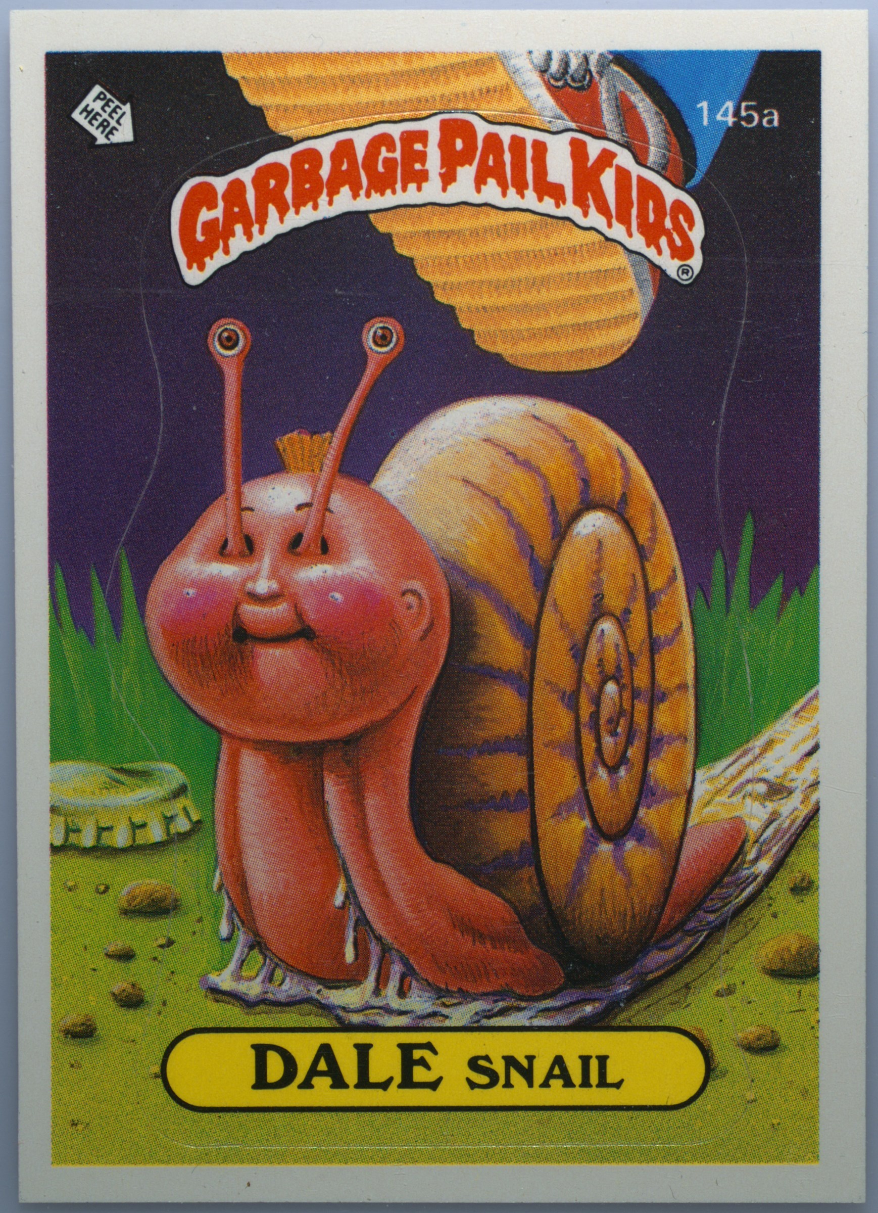 Dale Snail