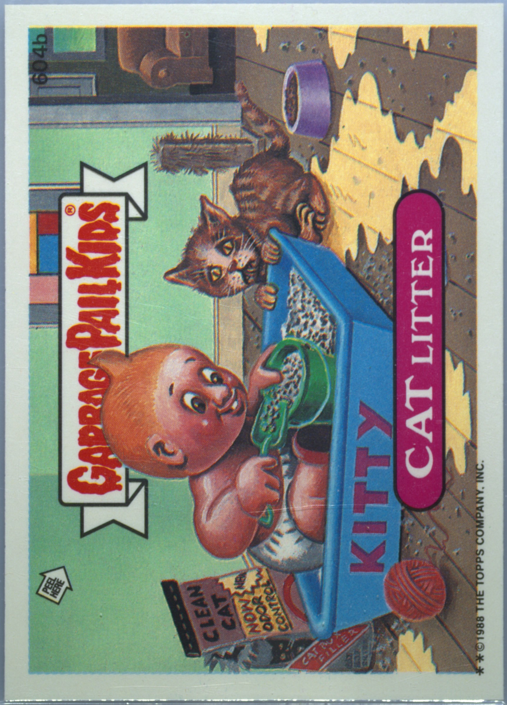 Cat Litter