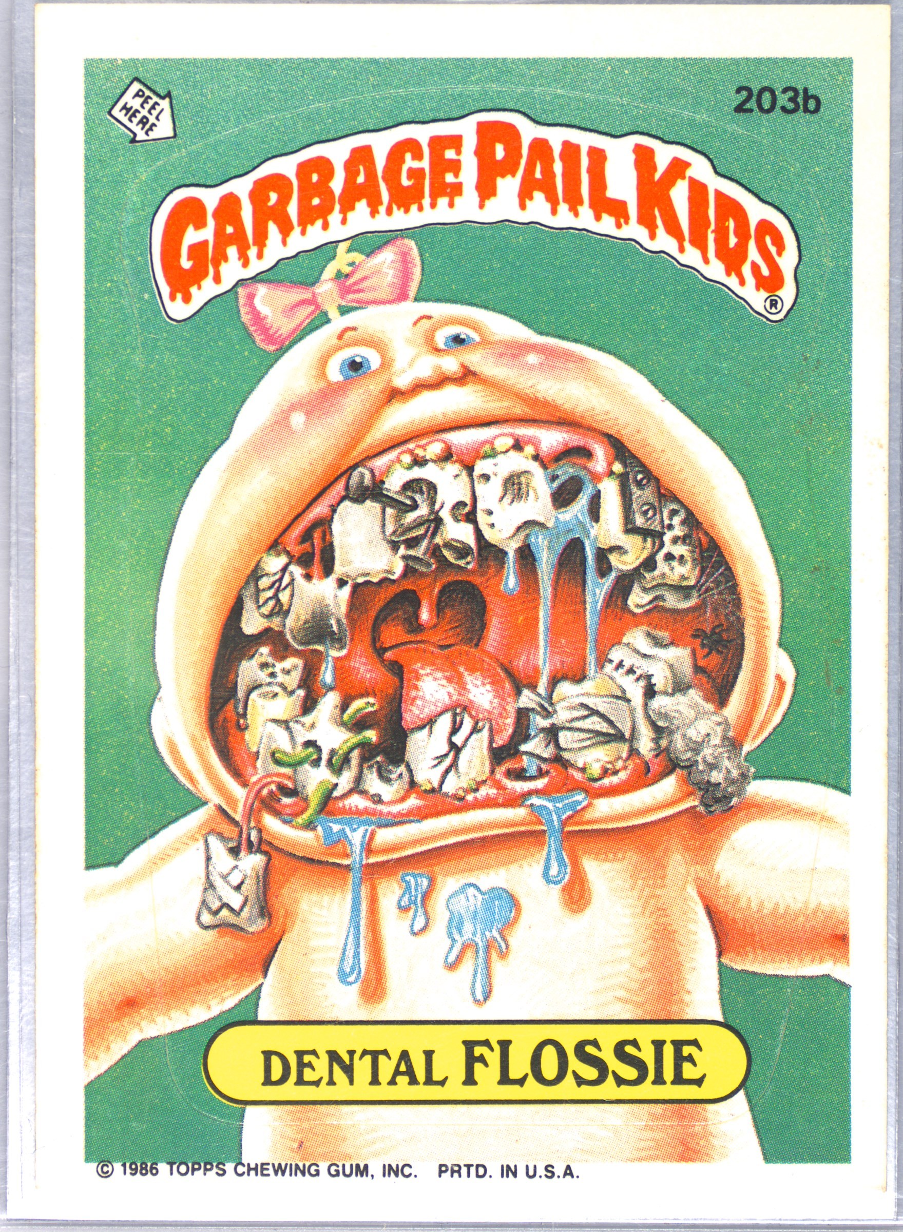 Dental Flossie